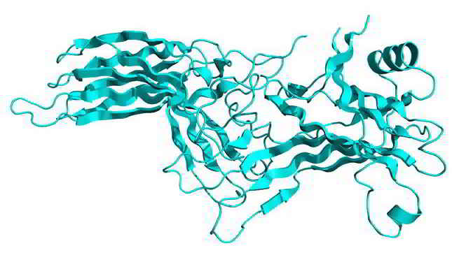 Arrestin Beta 1 (ARRb1) Polyclonal Antibody (Human, Pig), Biotinylated